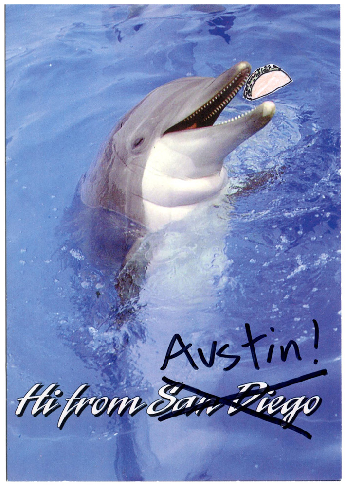 The front of the postcard I returned to him, featuring a dolphin. It said San Diego but I crossed this out and wrote Austin. I also drew a tiny taco for the dolphin to eat.