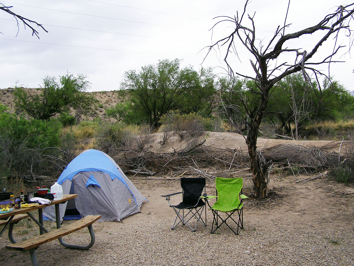 Scenic campsite with tent and crazy tree.