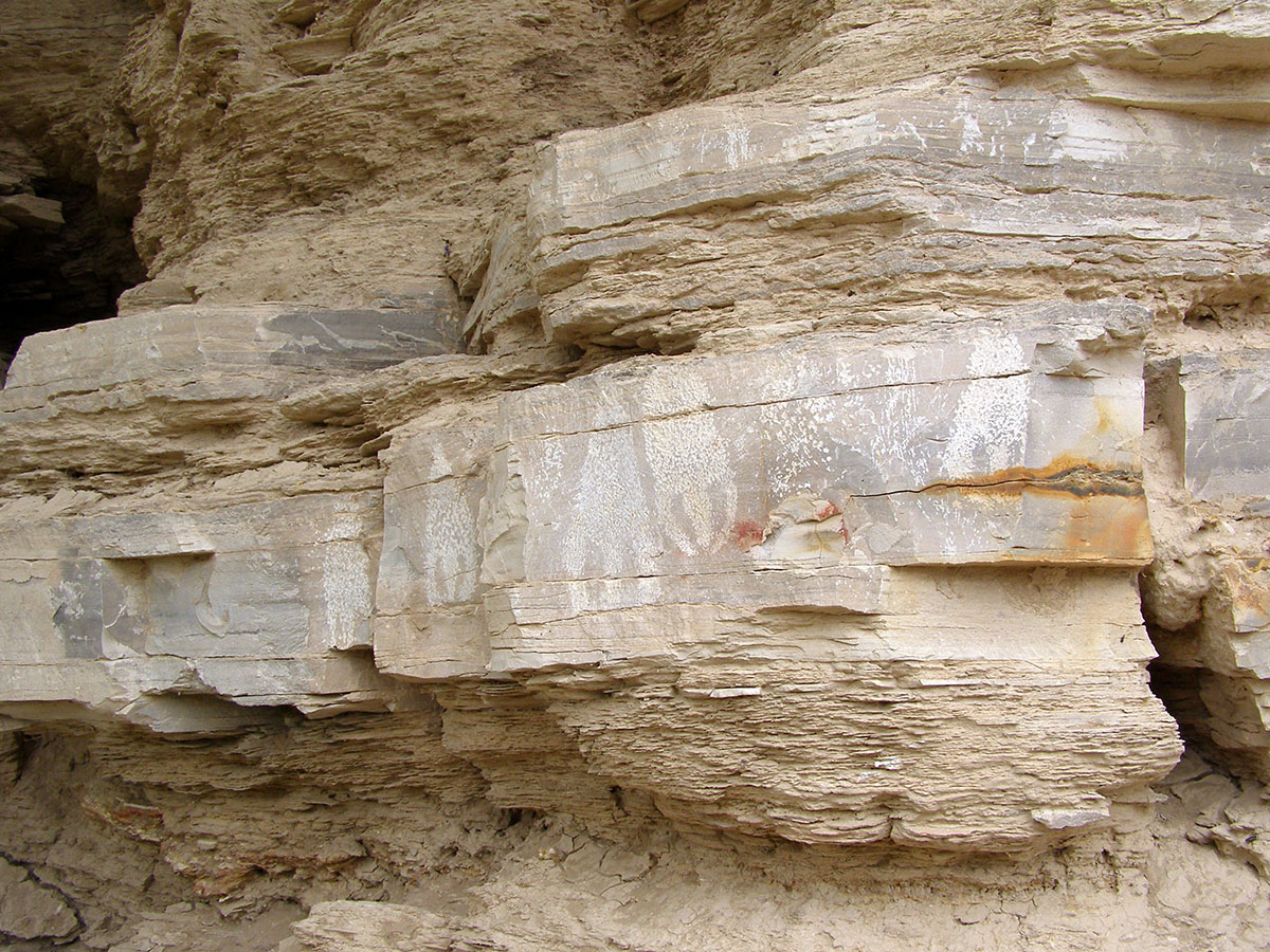 Pictures chipped into the rocks by ancient peoples. They look like Pac-Man ghosts.