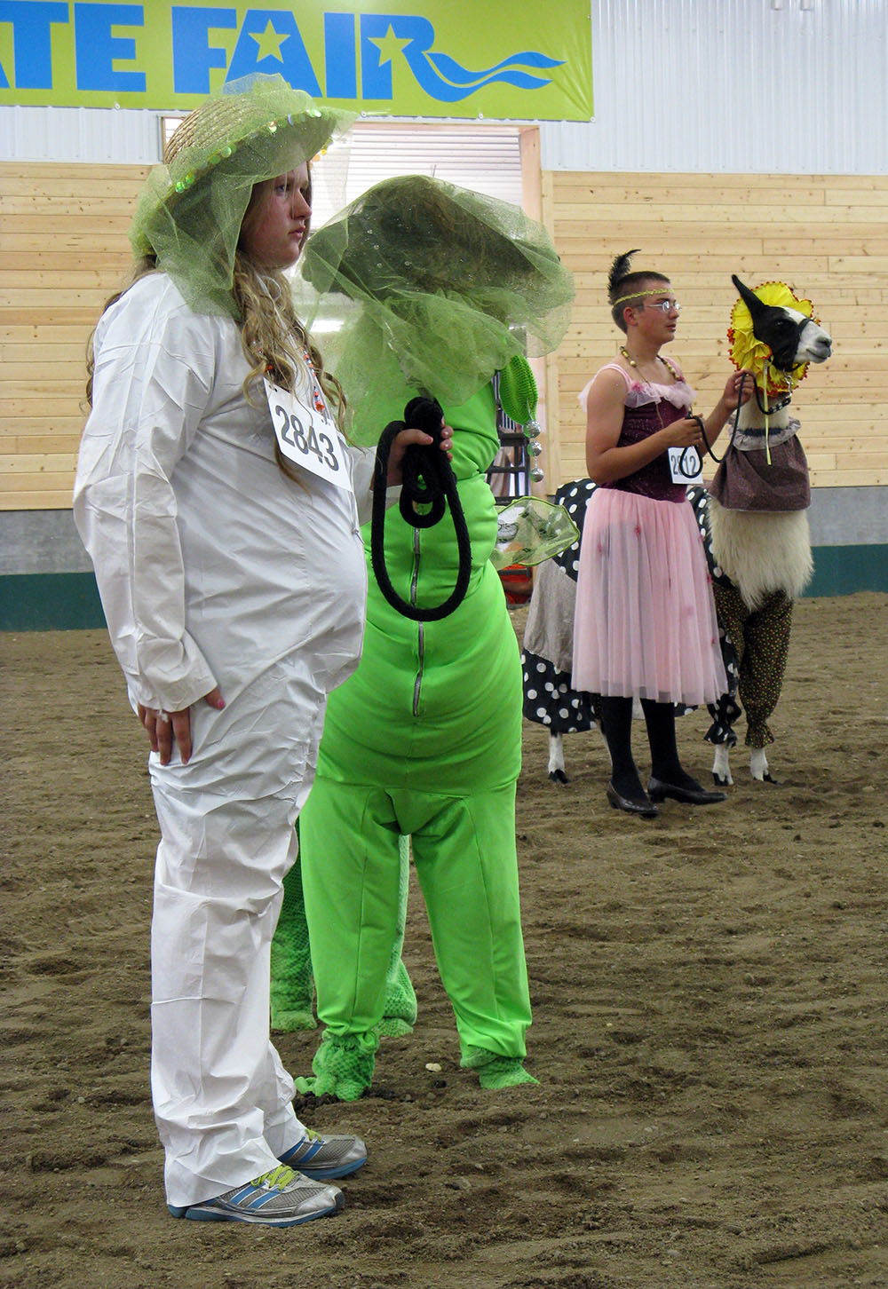 Llama dressed as a caterpillar.