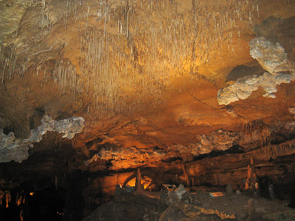 Soda straws on the cave roof.