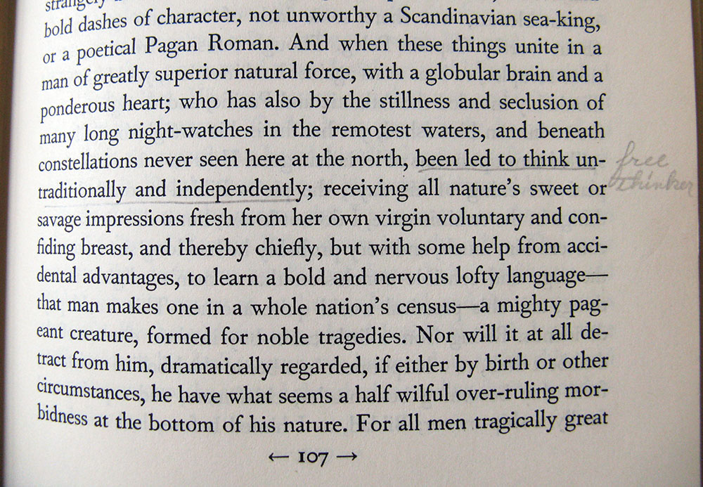 Underlined excerpt from Moby Dick.