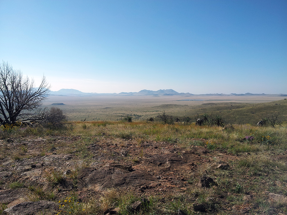 Steppe landscape.