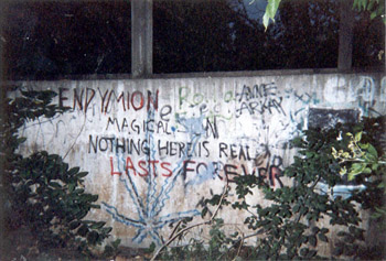 Image of the Pits with slogan, Endymion, magical son, nothing here is real, lasts forever.