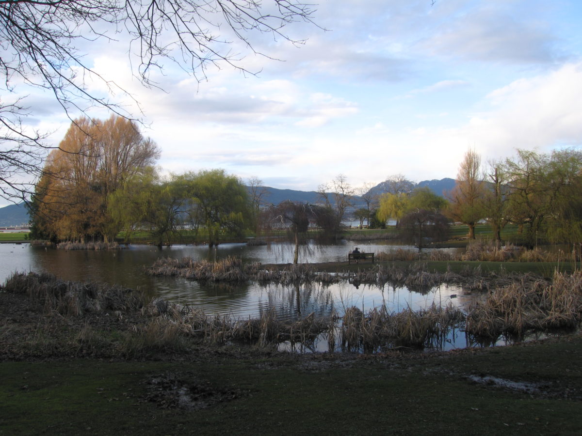 Pond at Jericho Beach