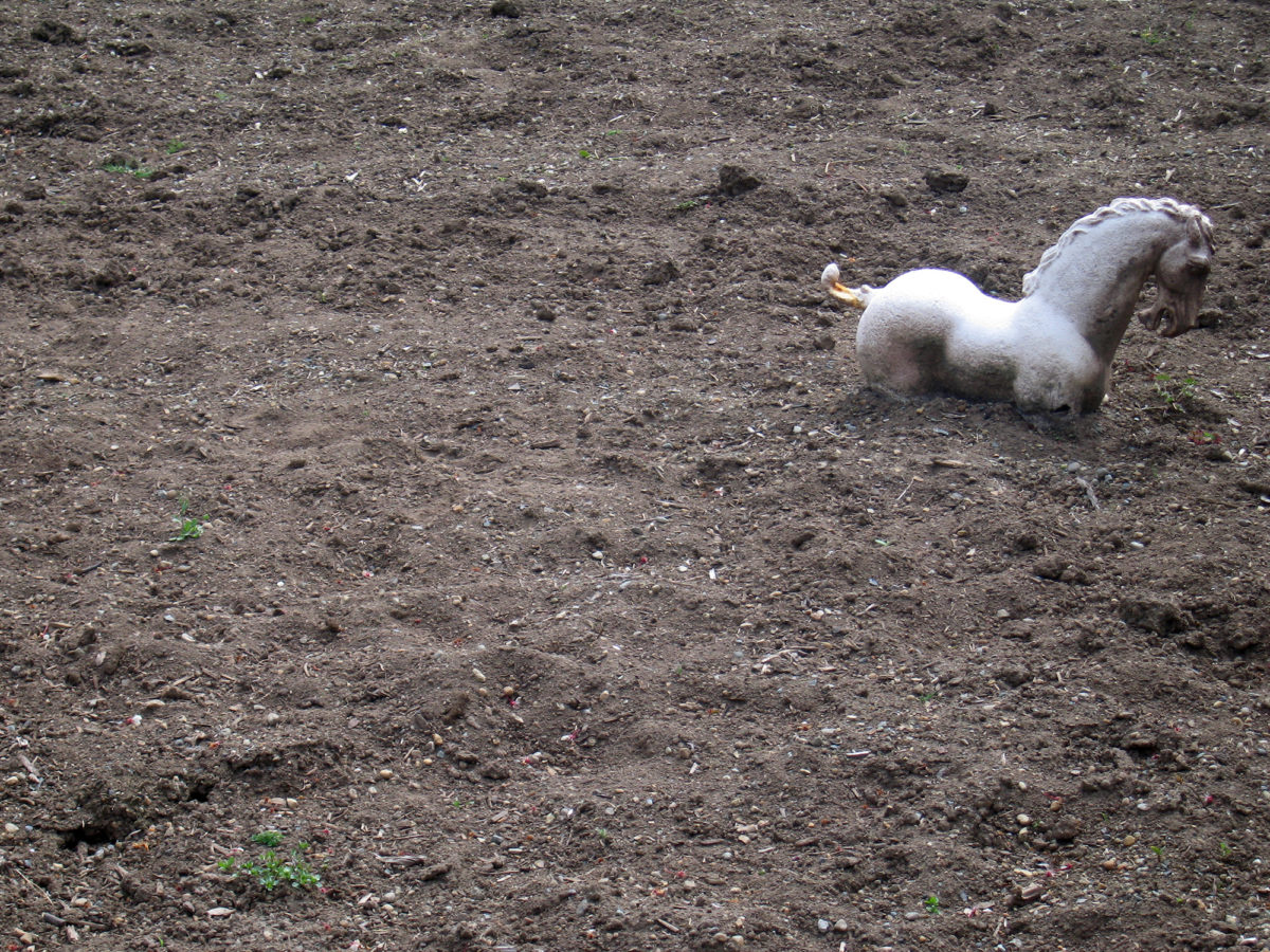 toy horse in quicksand