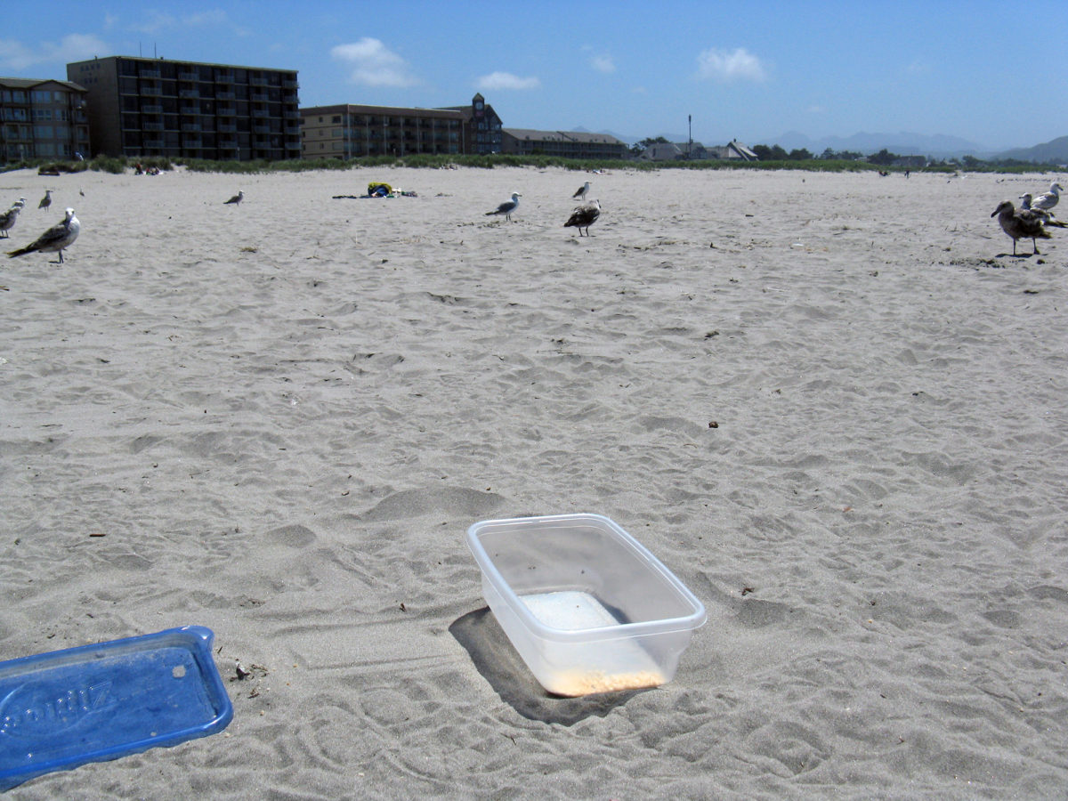 Empty tupperware with jerk birds