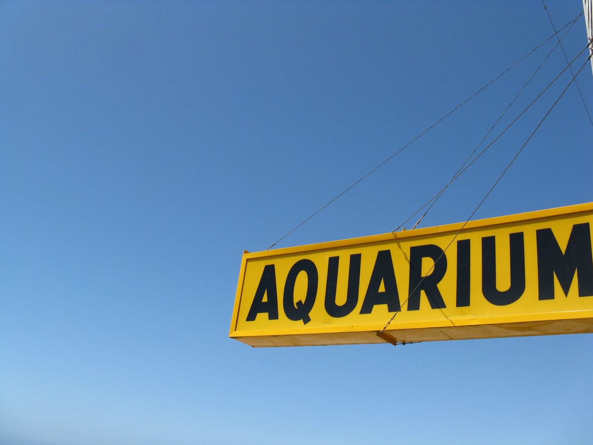 Aquarium Sign