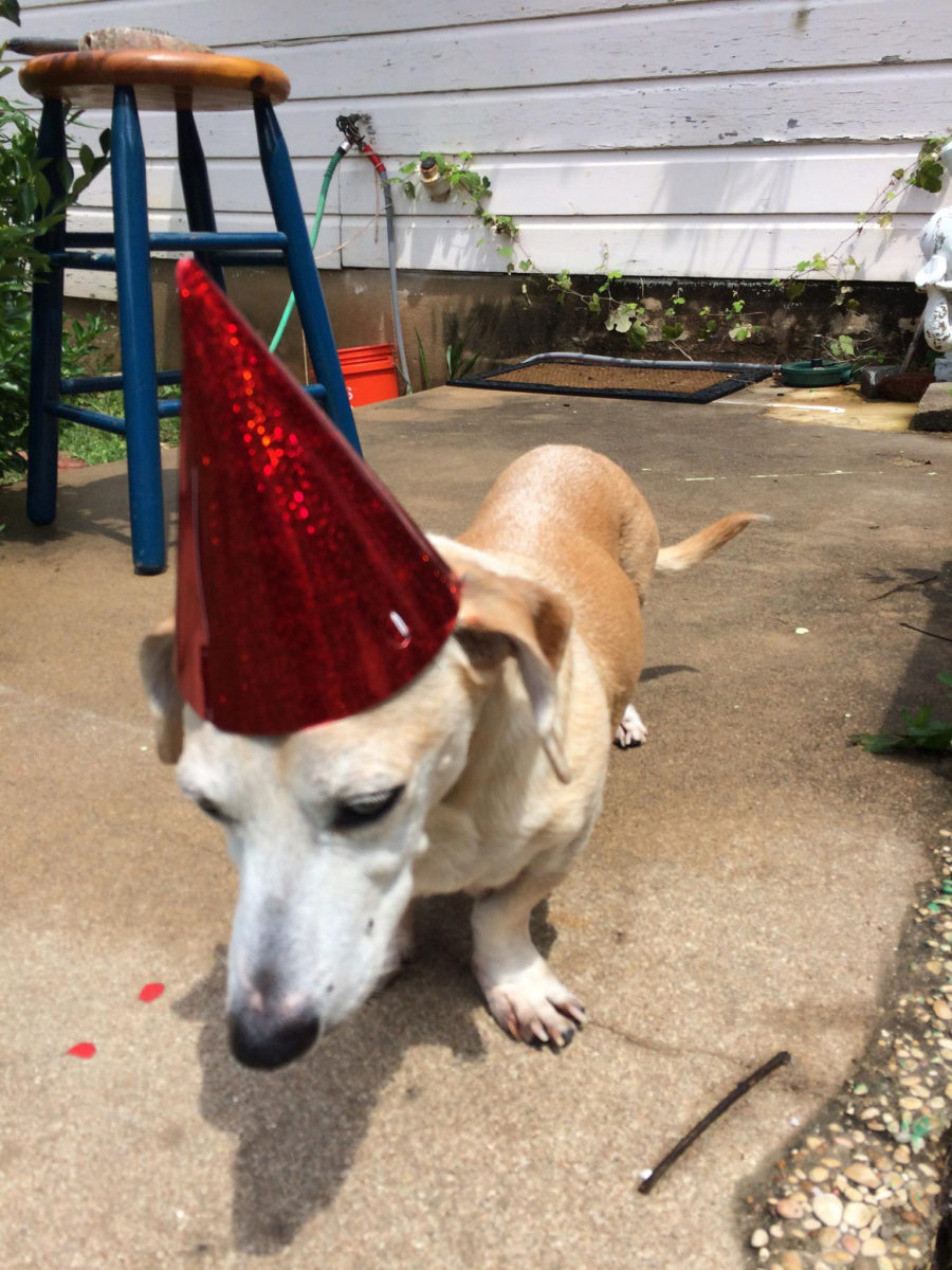 Sad birthday boy Robin in a red party hat